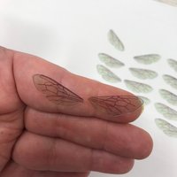 Bee wings for needle felting and craft projects. 10 pairs of acetate insect wings.
