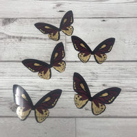 Butterfly wings - red, yellow and black acetate butterfly wings