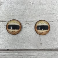 Brown Glass eye cabochons in sizes 6mm to 40mm sheep eyes, horse eyes, deer eyes, goat eyes, octopus eyes mongoose eyes (461)