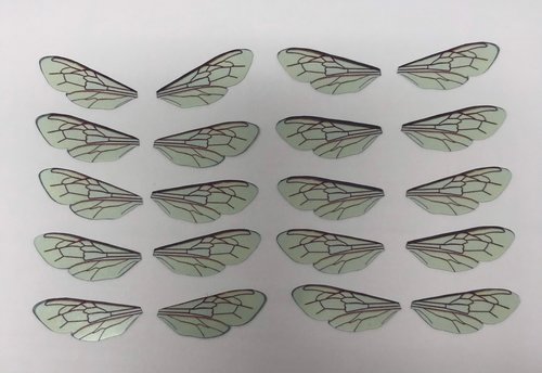 Bee wings for needle felting and craft projects. 10 pairs of acetate insect wings.