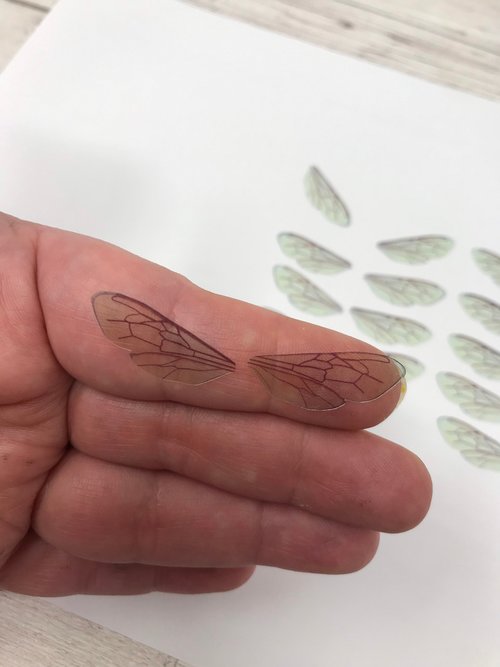 Bee wings for needle felting and craft projects. 10 pairs of acetate insect wings.