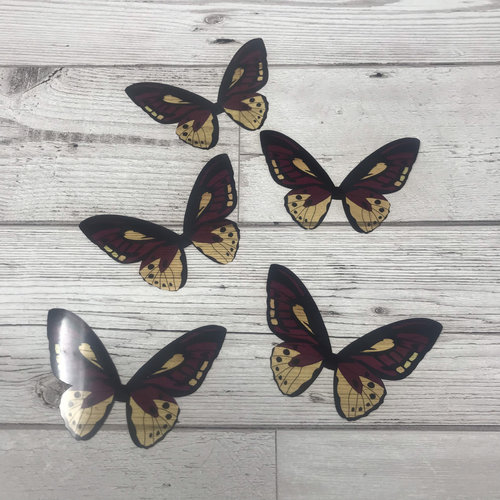 Butterfly wings - red, yellow and black acetate butterfly wings