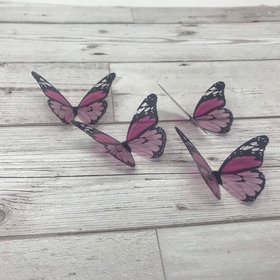 Butterfly wings - pink and black acetate butterfly wings